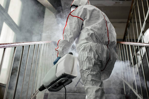 Mold Removal for HVAC Installations in Newtown Grant, PA